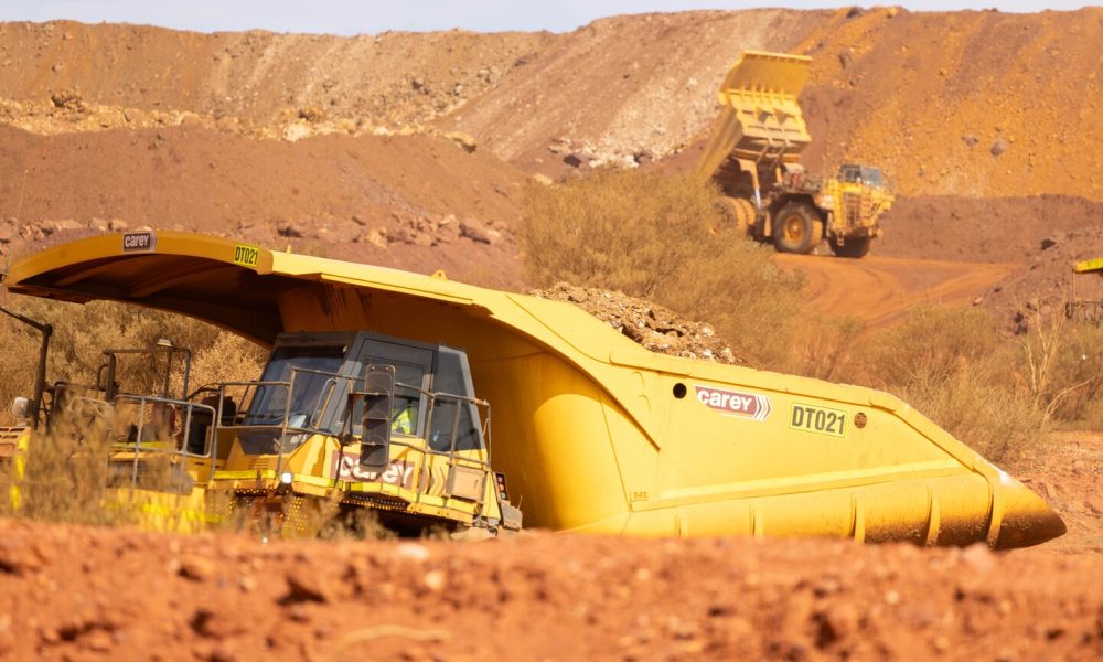 Lynas picks COO as interim boss