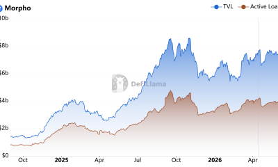 Morpho’s $175M DeFi Round Tests Onchain Credit’s Future