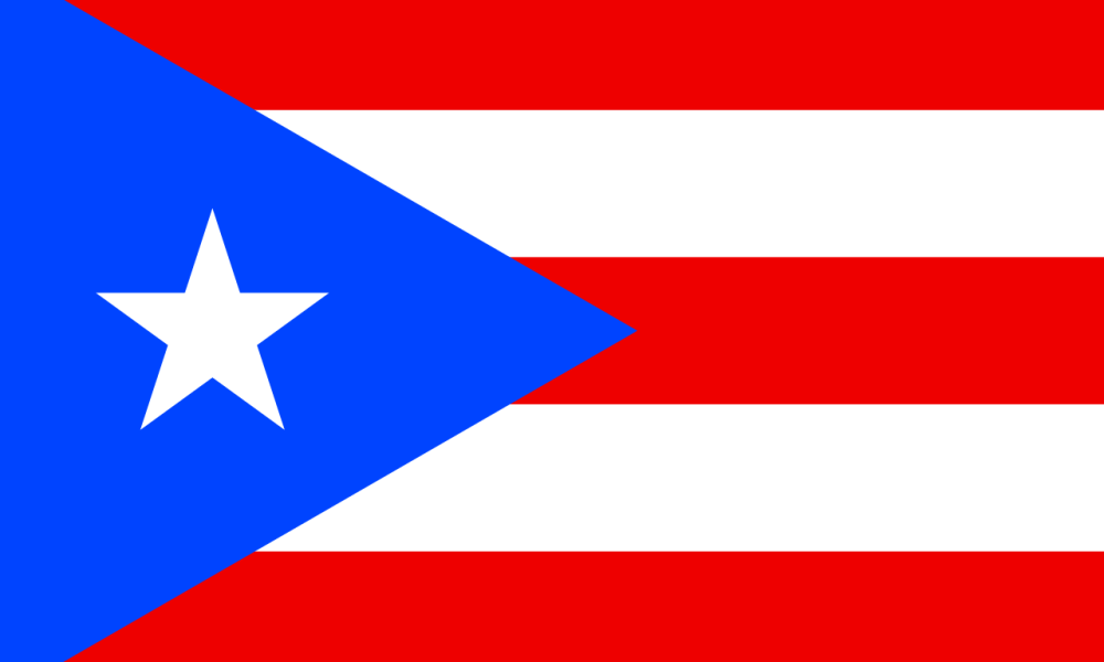 NYC Puerto Rican Day Parade 2026 Draws Millions with Star