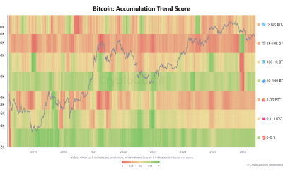 Bitcoin Holder Accumulation Surged As Metrics Fell To Record Lows