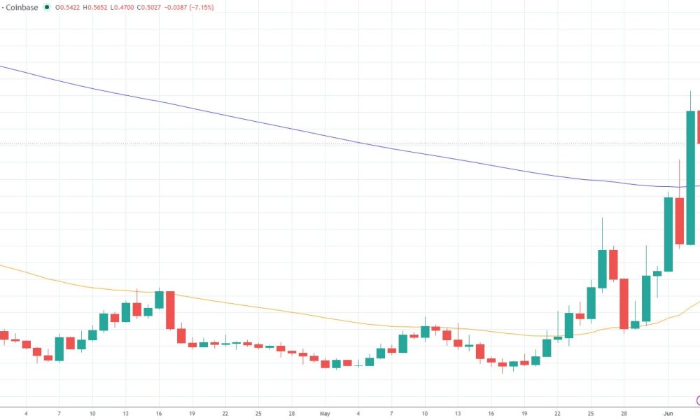 Maelstrom Predicts Worldcoin Token Surge to $5