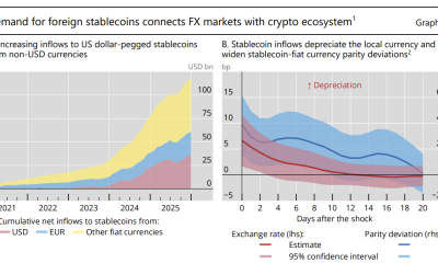 Stablecoins and Public Ledgers Flawed, Report Says