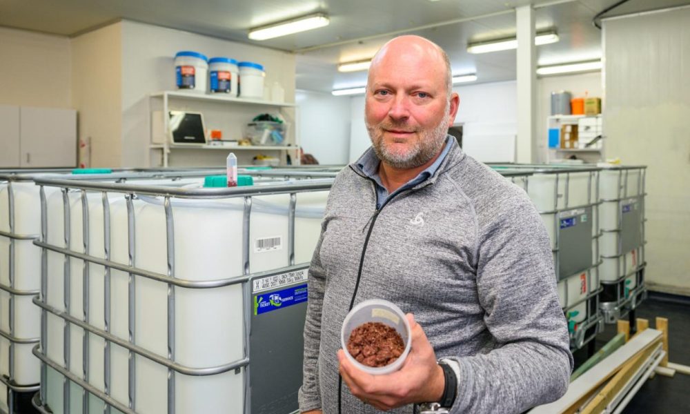 SeaStock granted aquaculture licence