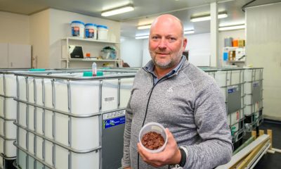 SeaStock granted aquaculture licence