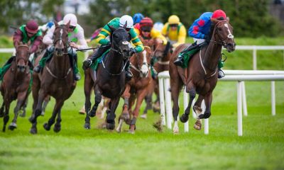 How Digital Innovation is Rewriting the Business of British Horse Racing