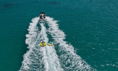 Dubai, a city known for its architectural marvels and bustling atmosphere, offers a hidden oasis of tranquility through its serene boat rides Boat ride dubai.