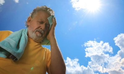 Hottest Day on Record? Then Double Down on Net Zero, Don't Dumb It Down