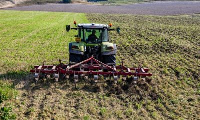 UK farm incomes have stagnated since the 1970s, a new report finds, as consolidation in the supply chain and new taxes threaten Britain’s agricultural sector.