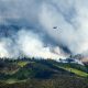 Wildfire activity surges in western United States amid hot, dry weather