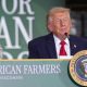 Trump dismisses idea that Iran betrays his 'no new wars' campaign message