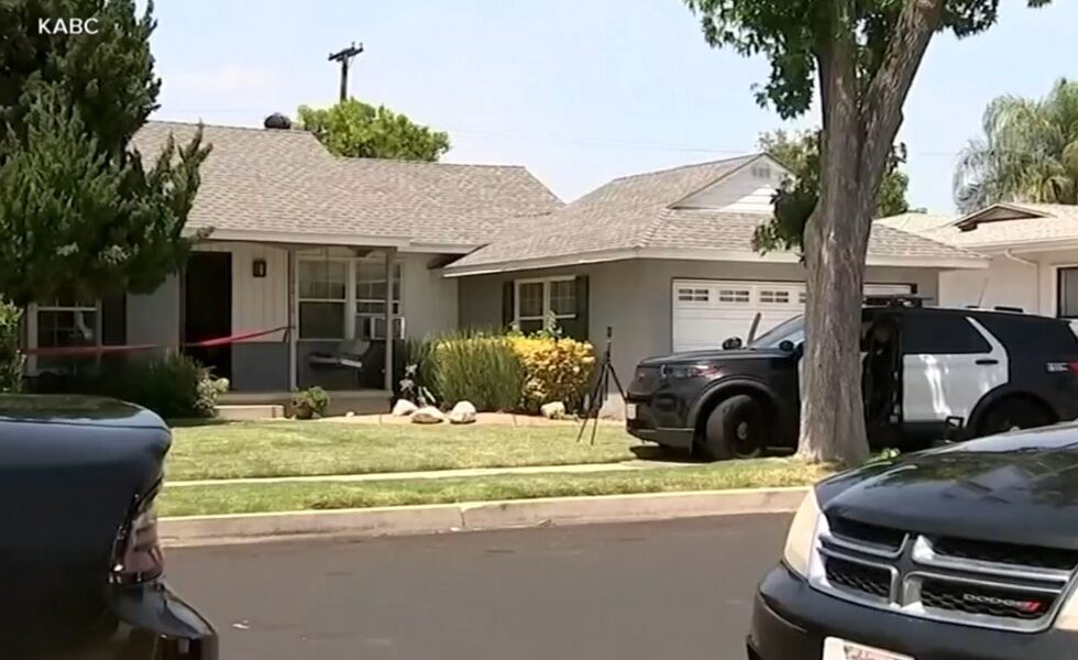 Actor James Handy's death leads to murder charge for girlfriend's son