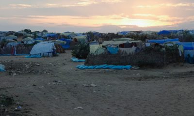 Doctors Without Borders report found cases of abuse and exploitation by staff in Chad