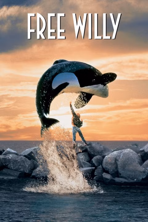 01139793_poster_w780.jpg