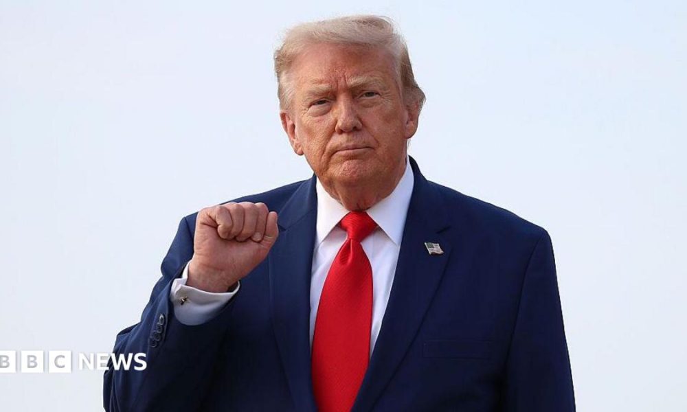 Donald Trump holds up his right fist while wearing a white shirt and red tie.