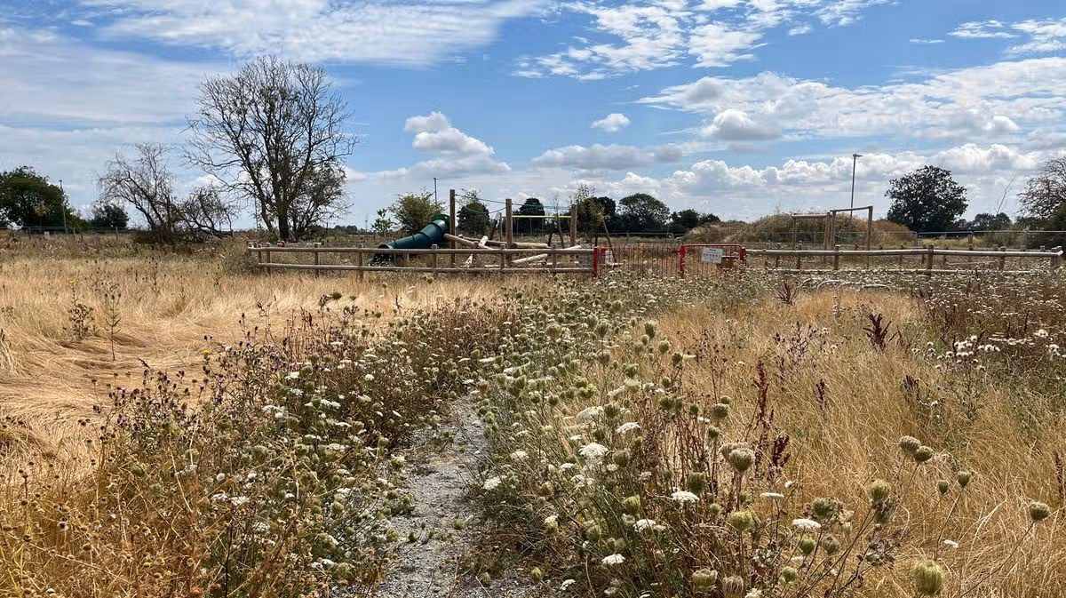 Cambridgeshire Live