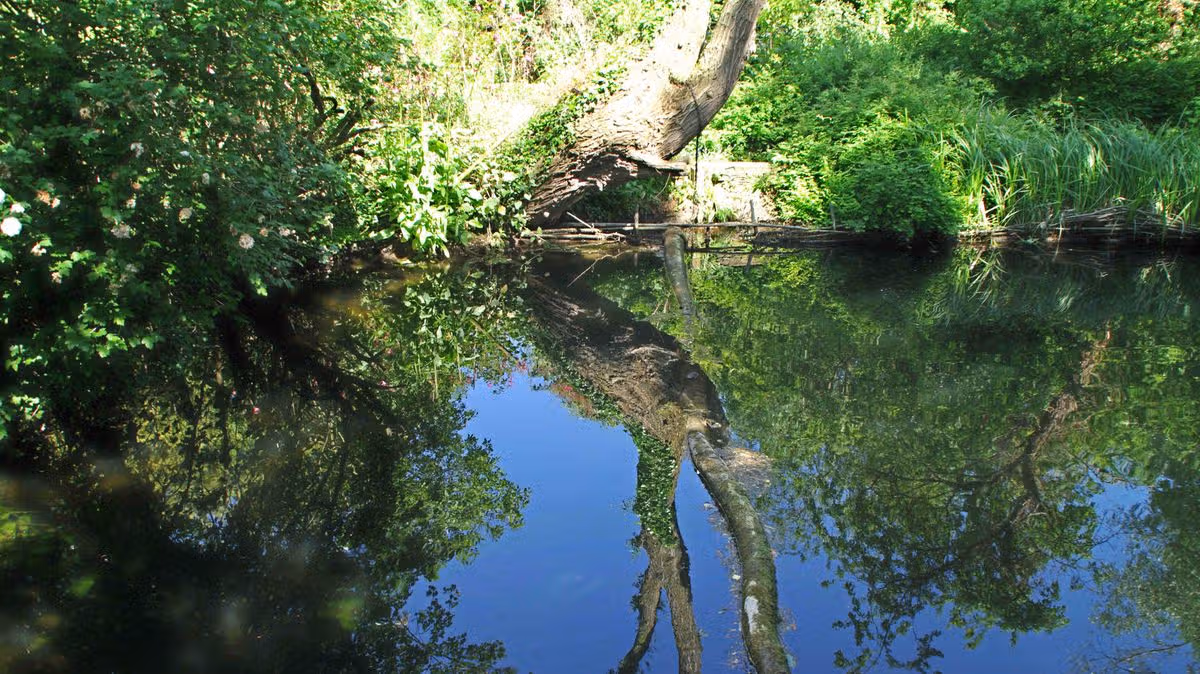 Cambridgeshire Live