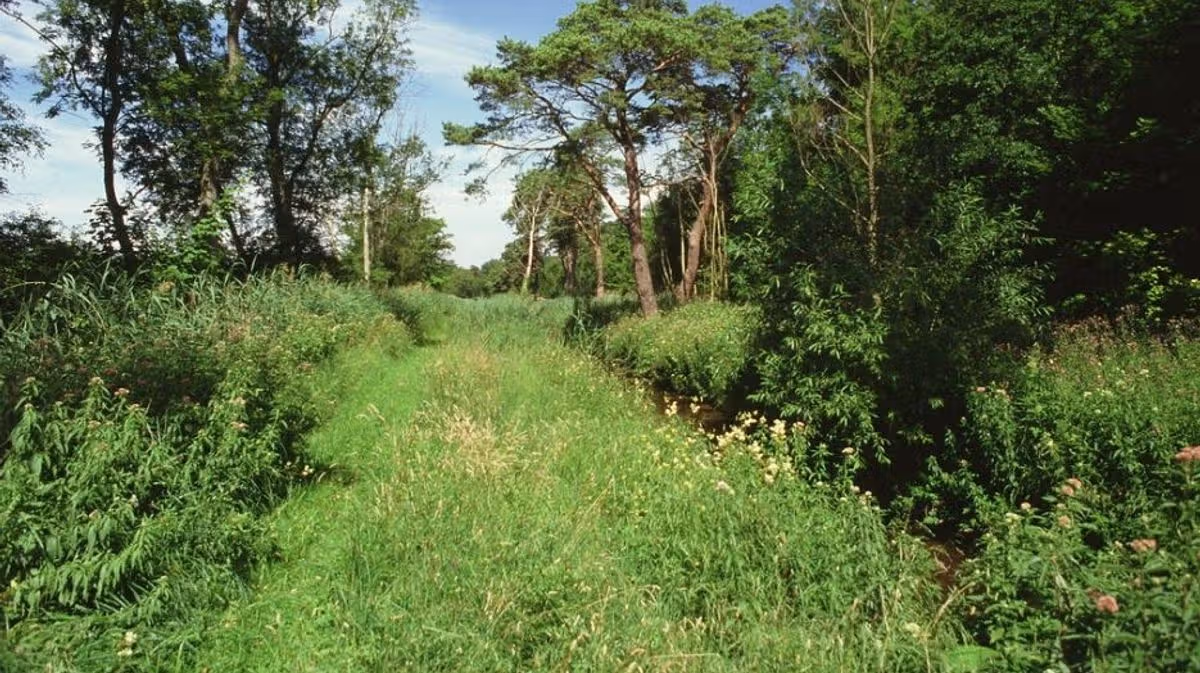 Cambridgeshire Live