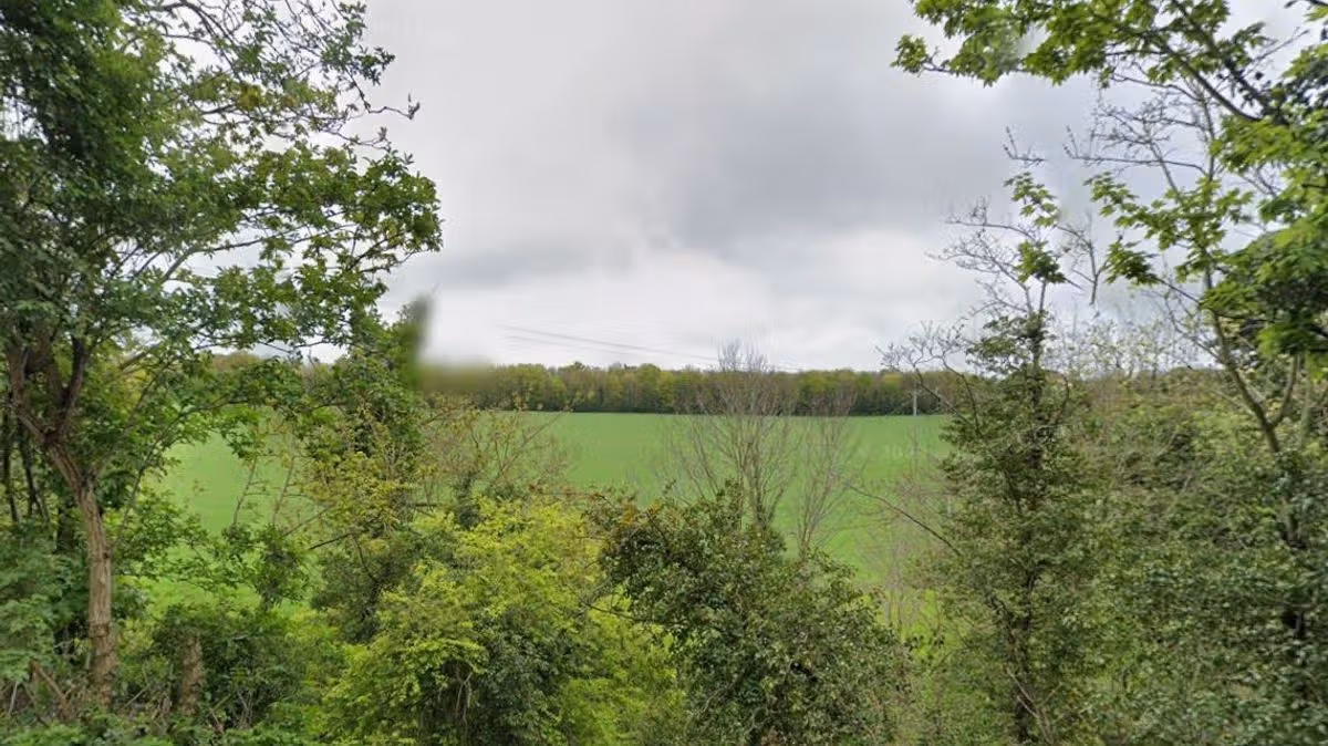 Cambridgeshire Live