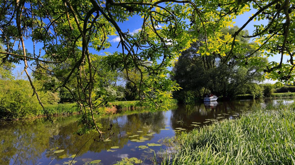 Cambridgeshire Live