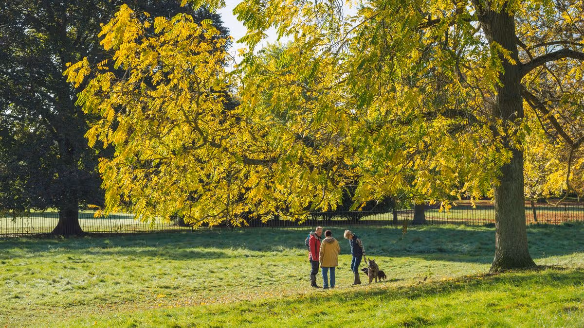 Cambridgeshire Live