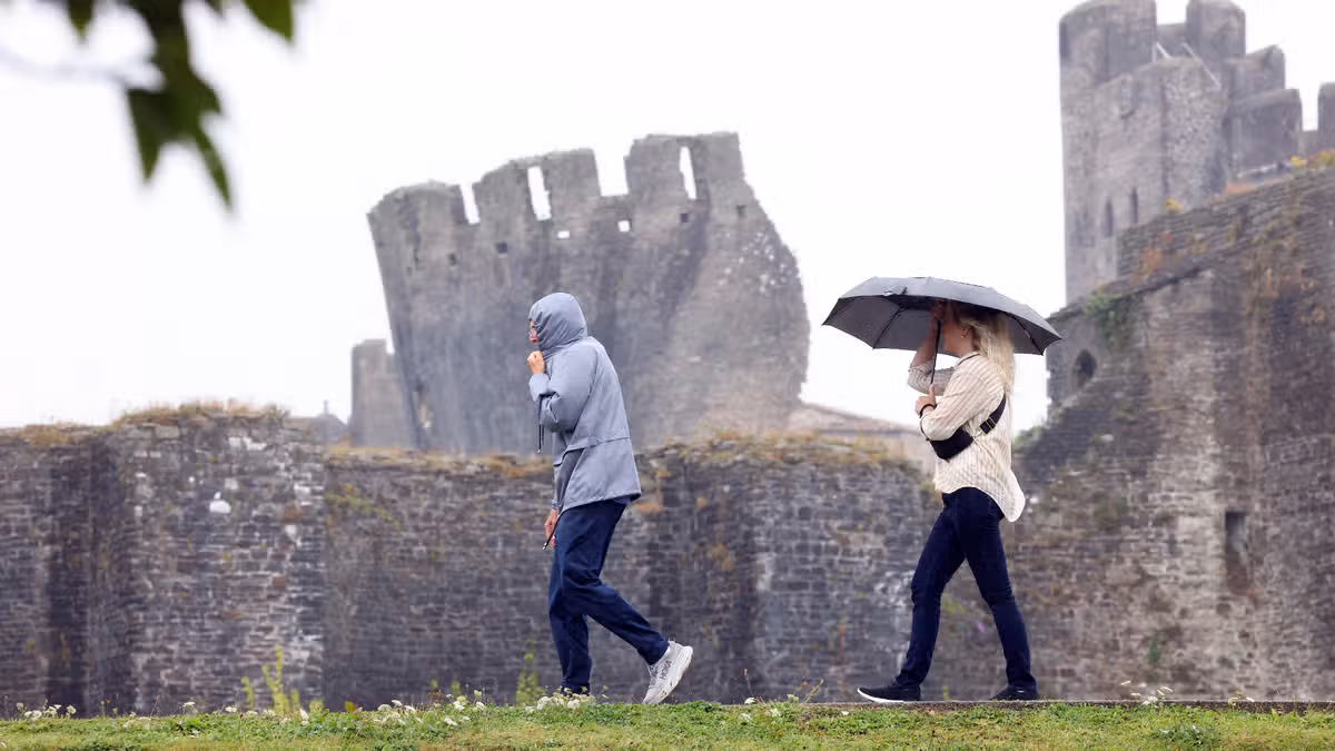 Wales Online