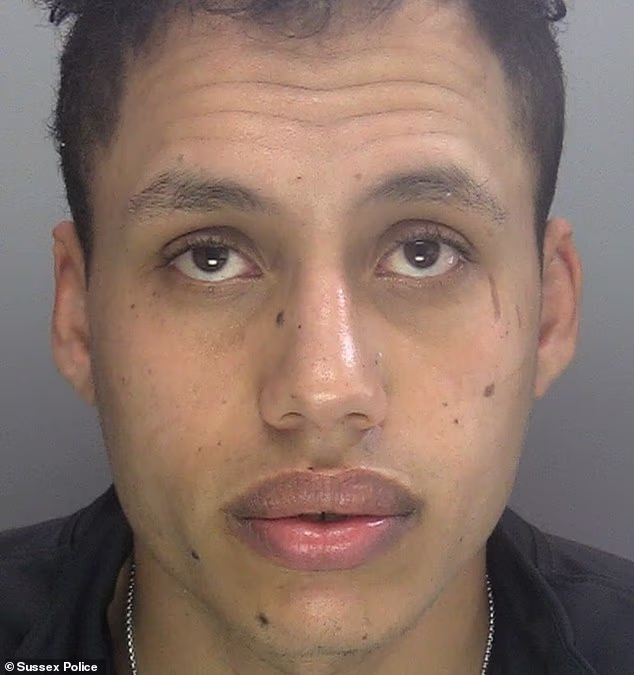 Karin Al-Danasurt, who was found guilty of gang-rape, also has a previous conviction for murder
