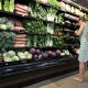 Cyclospora outbreak may be worsened by food industry consolidation