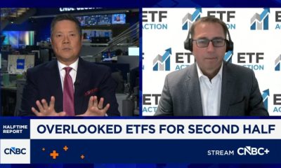 Software and cloud computing names have strong growth scenarios, says ETF Action's Mike Akins