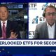 Software and cloud computing names have strong growth scenarios, says ETF Action's Mike Akins