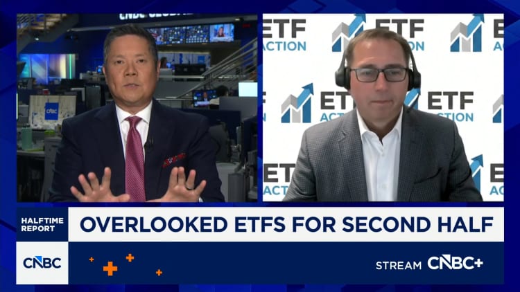 Software and cloud computing names have strong growth scenarios, says ETF Action's Mike Akins