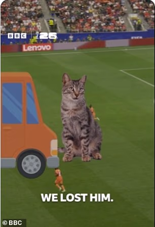 BBC co-commentator Danny Murphy surprised viewers of Norway's match with the Ivory Coast with a brief anecdote about the disappearance of his cat Bob