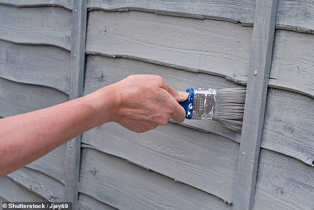 Dispute: A reader's neighbour has forbidden him from painting the fence - claiming the wood has to breathe