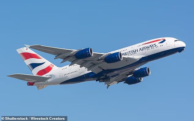 A BA flight to the UK was cancelled after crew members got so drunk the night before that one of them collapsed in a hotel bar