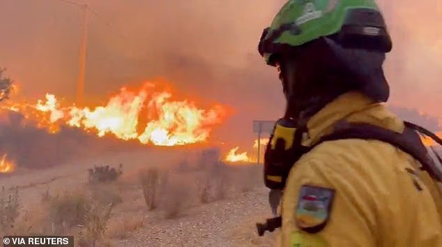 An emergency worker looks on during a wildfire in Almeria, Spain
