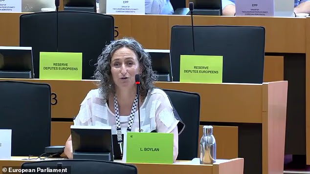 Dublin MEP Lynn Boylan was addressing a committee on EU Foreign Affairs when she found herself in a tangle over the use of the Irish language, saying how 'unfortunate' it was that it couldn't be used