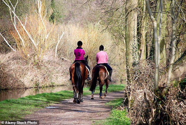 Two horse riders have died within hours of each other at separate competitions, British Eventing has confirmed  (file photo)
