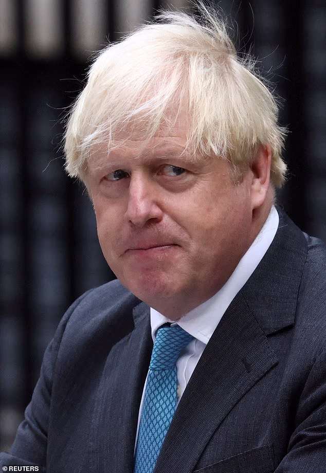 Former Prime Minister Boris Johnson told Sky News that ramping up MPs' security would be 'probably expensive and pointless'