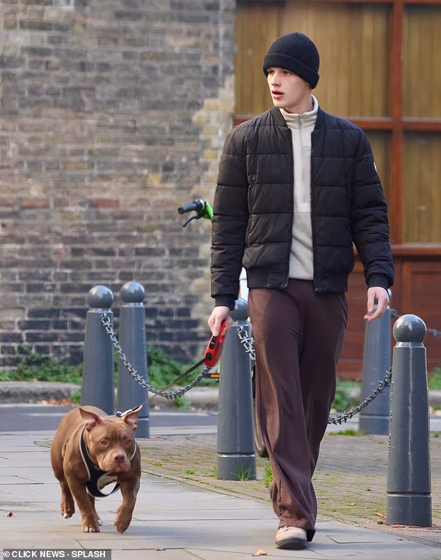 Freddy Brazier has shared his devastation that his dog will be taken away after leaving a hole in his arm as he declared 'he's like my son' (pictured in 2025)