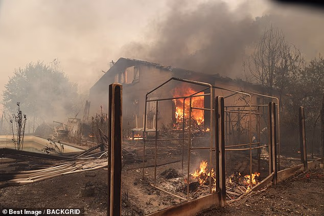 Flames fanned by scorching temperatures have been sweeping through parts of western France. Pictured: A wildfire advances through Lege-Cap-Ferret in Gironde