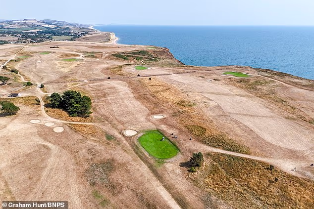 An aerial view of the drought sun-scorched fairways and rough which surround the watered 15th green at the Bridport and West Dorset Golf Club at West Bay in Dorset yesterday
