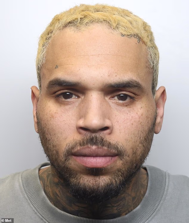 Pop star Chris Brown has admitted affray
