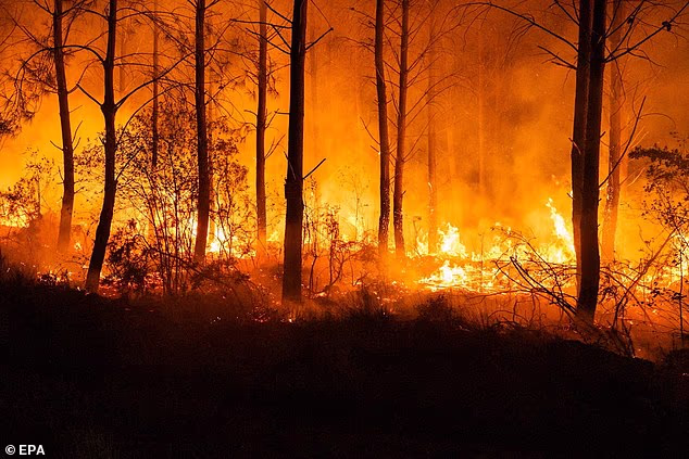 Dramatic pictures released by French authorities show an intense wildfire burning in Biscarrosse, southern France, on Saturday morning