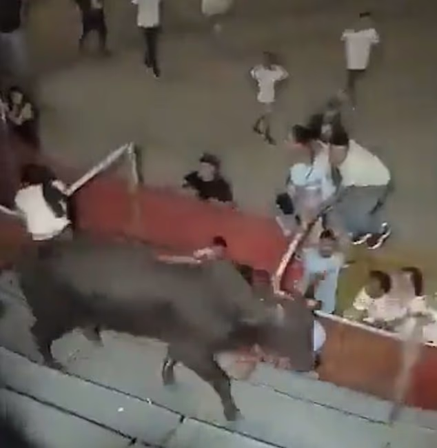 A raging bull injured four people at a festival in Colombia after it launched itself into the crowd