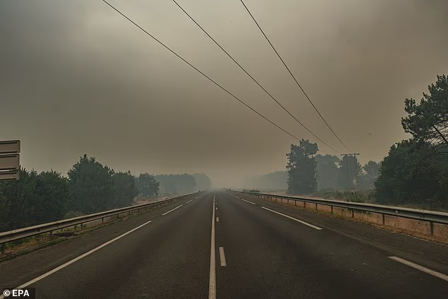Smoke from a wildfire spreading on Cap Ferret peninsula is seen over a pine forest in Lege Cap-Ferret, south-western France, July 24 2026