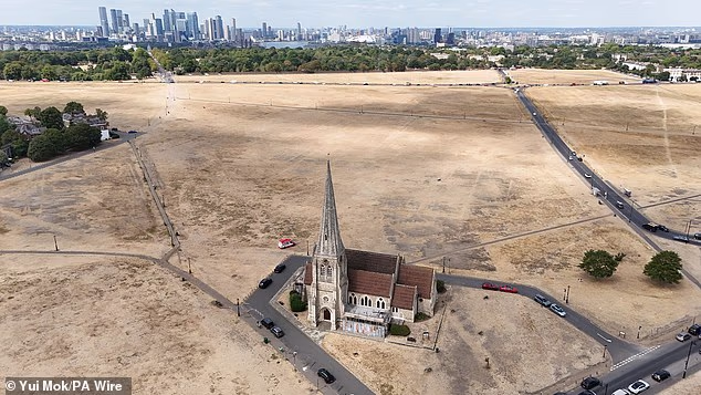Grass in Blackheath, south-east London, has turned entirely brown