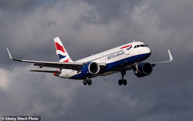 A British Airways Airbus A320 was allegedly seconds away from disaster after a pilot botched a landing and stalled while 4,000ft above London (stock photo)