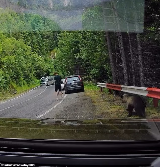 A tourist stayed completely still as a wild bear bit at his leg