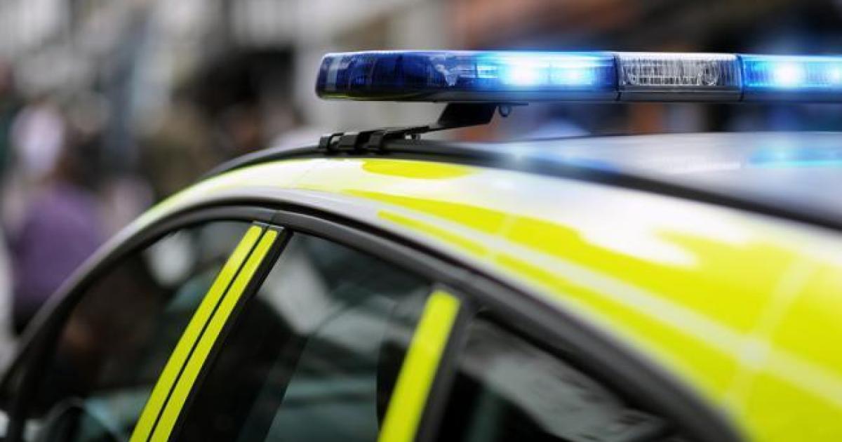 Seven people arrested after 'gun fired' in Grangetown