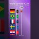 MOST TIMES IN 3RD PLACE IN THE HISTORY OF THE WORLD CUPS #football #fifa #worldcup #brazil #france