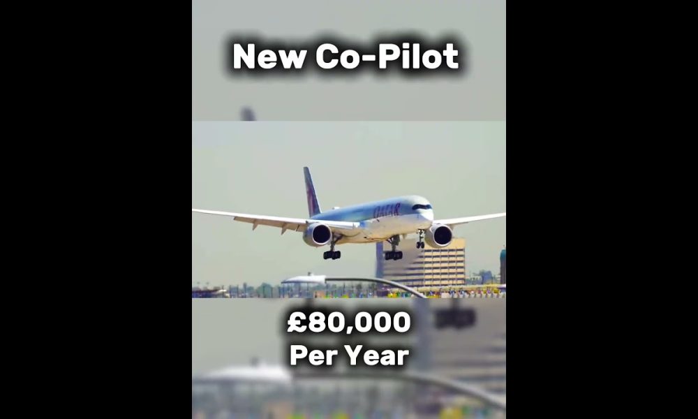 Is this a lot of money? #airplane #aviation #avgeek #planes #pilot #money
